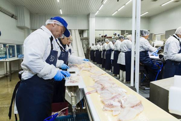 За три квартала 2022 года производство рыбного филе в России выросло на 27% - до 213 тыс. тонн