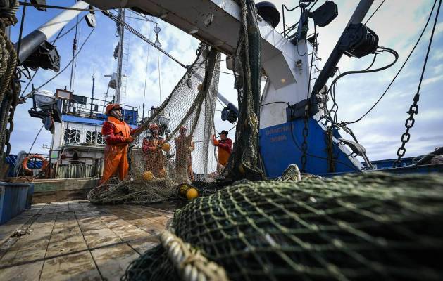 Новая цифровая среда для рыболовства: закон об электронном рыболовном журнале вступил силу