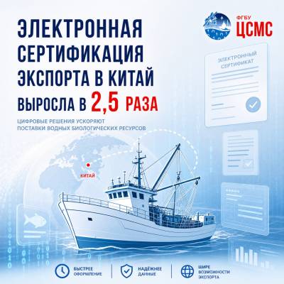 Электронная сертификация экспорта в КНР набрала обороты
